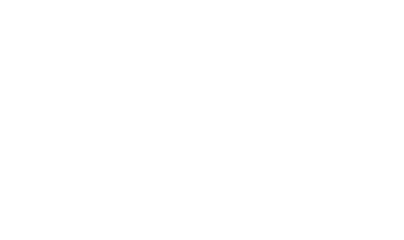 AUB' PRINTER
